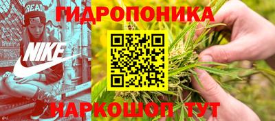 прущие грибы Будённовск