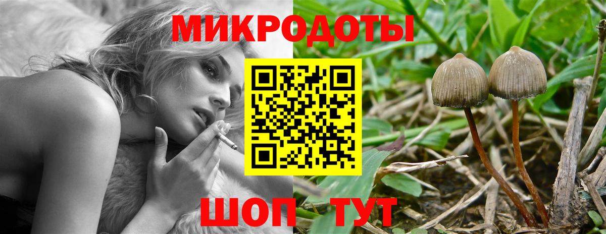 Егорьевск  Псилоцибиновые грибы прущие грибы  Вход с VPN 